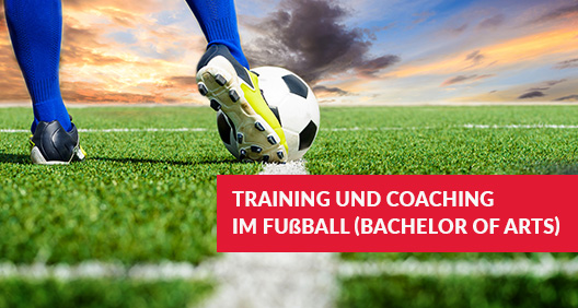 Fussballspieler mit Ball auf Rasen